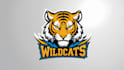 design tiger mascot logo with creative concepts