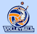 design professional volleyball logo