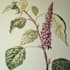 design the best botanical illustration for you