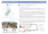 design architectural infographics and 2d concept diagrams