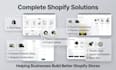 build a professional shopify store for your business