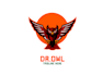create exclusive and marvelous owl bird logo design