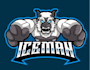 design high quality professional yeti logo
