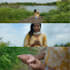 turn raw footage into a stunning and color graded video