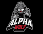 design high quality wolf mascot logo with my fastest delivery
