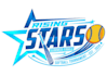 design good looking softball logo