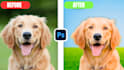 design pro photo retouching editing fast delivery