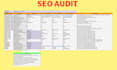 seo audit and competitor analysis with action plan