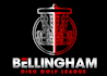design unique disc golf logo with free vector files