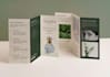 design a modern business brochure