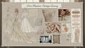 create luxury fashion concept illustrations