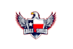 create exclusive and marvelous eagle logo design