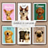 turn your pet into a disney or pixar character