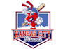 design excellent baseball logo