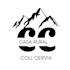 desing logotypes and cards with canva