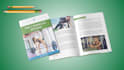 design branded ebook lead magnet workbook pdfs in canva