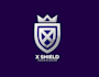 create high quality and beautifu lshield logo design