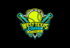 create attractive and imagination softball  logo design