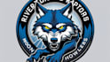 design wolf mascot logo with express deliver