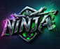 create a custom gaming logo design with epic gaming intro