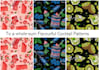 create unique seamless pattern design