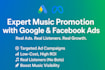 setup paid ads campaign for your spotify music promotion