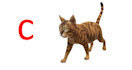 create 3d abc presentations for kindergarten schools