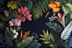 draw botanical illustrations of flowers