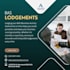 be your canva design expert, infographic animation, canva pro,banner