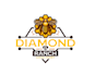 create attractive and imagination honey logo design