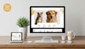 do a pet store, grooming website, and pet ecommerce site with custom logo
