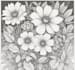 draw botanical illustration art for you