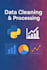 do professional data cleaning and data analysis using python