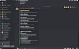 develop professional custom discord bot,automation in python or javascript