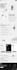 develop website ai software ai chatgpt ai saas ai chatbot ai