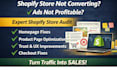 professionally review and audit your shopify store to increase conversions