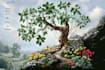 draw nature, science and culture