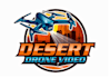 design a professional drone logo for your business