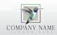 design a creative hummingbird logo
