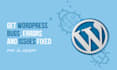 bug fixes, plugin fixes, theme fixes,any type of bugs