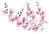 draw flowers illustrations in watercolour style