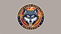 design wolf mascot design logo within 1 day