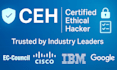 perform website audit, maintenance, and vulnerability assessment
