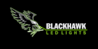 create a professional mascot eagle logo design