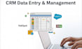 do CRM data entry and management hubspot salesforce