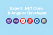 bug fix or upgrade your asp net core app and sql database