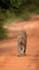 arrange your sri lanka trip