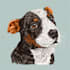draw your pet or animal to realistic vector