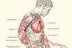draw exercise, medical and anatomy illustrations
