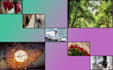 create an aesthetic photo collage for birthdays,weddings, and instagram